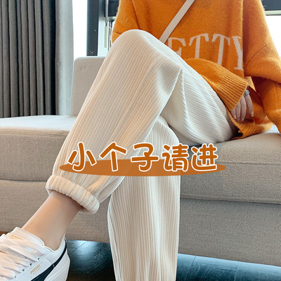 145小个子雪尼尔运动裤女加绒秋冬穿搭九分显高八分哈伦束脚卫裤