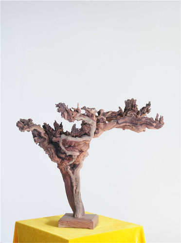 崖柏摆件随形工艺品天然造型 风化木原生态瘤根雕老根艺术根雕