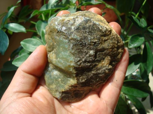 天然河磨玉析木绿料老玉挂件明料原石椴树林籽料岫岩玉透闪石玉