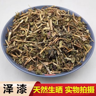 中药材 野生猫眼草泽漆耳叶大戟猫耳眼 猫儿草新鲜干货 500克包邮