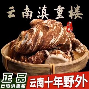 正品重楼个500g包邮新货七叶一枝花中草药材蚤休草河车免费打粉