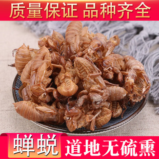 中药材蝉蜕 天然无硫蝉衣 知了皮 蝉脱壳金蝉衣自然脱落500克包邮