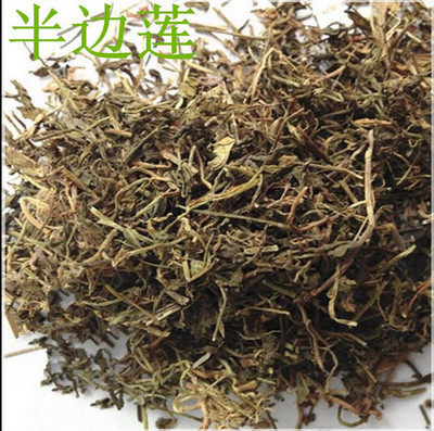 野生半边莲中草药新货