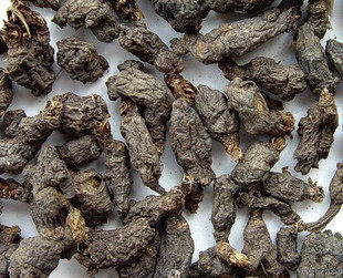 天葵子中药材 精选千年老鼠屎紫背天葵天去子金耗子屎天葵根500克