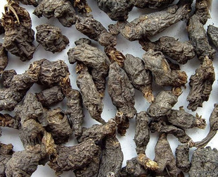 天葵子中药材 精选千年老鼠屎紫背天葵天去子金耗子屎天葵根500克