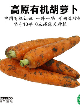 内蒙古有机胡萝卜5斤农家绿色蔬菜新鲜带泥沙拉轻食孕妇辅食