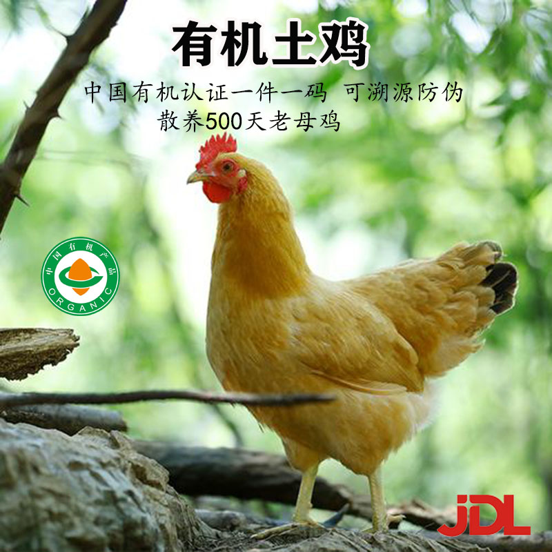 九华粮品有机土鸡深山放养500天正宗老母鸡农家散养走地鸡山鸡老