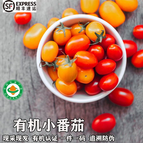有机小西红柿樱桃小番茄红黄圣女果新鲜蔬菜水果60枚孕妈生吃沙拉