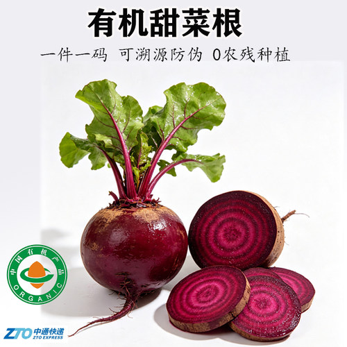 有机甜菜根新鲜采挖红甜菜头当季蔬菜沙拉榨汁凉拌露天种植无农残