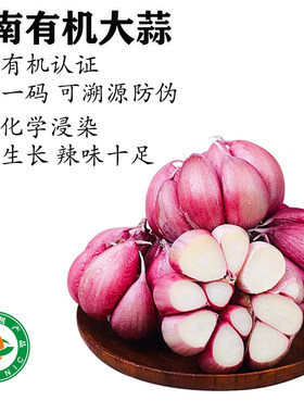 云南有机大蒜新鲜蒜头多瓣蒜干蒜独蒜高原白皮蒜生鲜蔬菜生吃