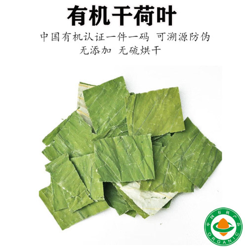 有机干荷叶纯何叶片天然清香泡水草茶炖汤自然晾晒无添加中药材
