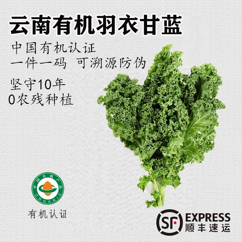 有机新鲜蔬菜羽衣甘蓝榨汁沙拉低卡云南当季现采现发健身轻食顺丰