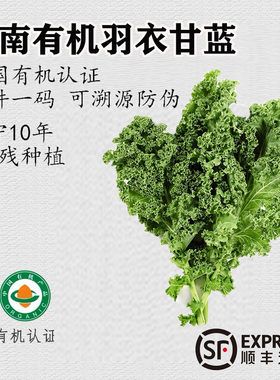 有机新鲜蔬菜羽衣甘蓝榨汁沙拉低卡云南当季现采现发健身轻食顺丰