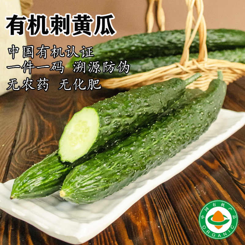 有机黄瓜新鲜蔬菜嫩水果青瓜蘸酱生吃当季时令沙拉凉拌鲜嫩脆爽