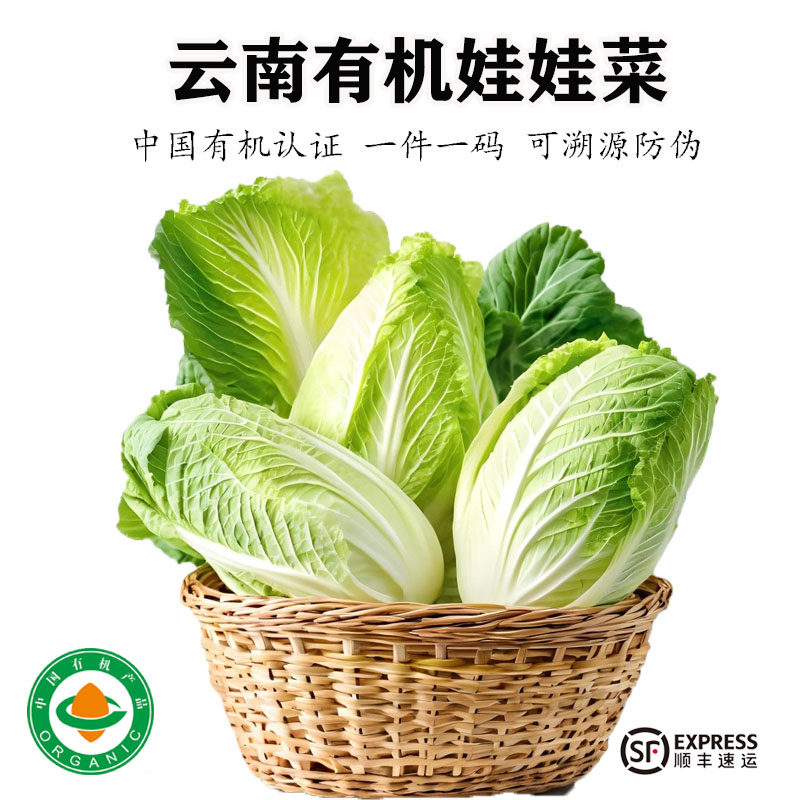 云南高原有机娃娃菜新鲜采摘蔬菜小白菜当季高山青菜无农残,水产肉类/新鲜蔬果/熟食,叶菜类,淘宝优惠券,粉丝福利购,淘宝优惠卷