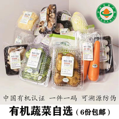 有机蔬菜小份组合西芹新鲜胡萝卜现摘紫甘蓝绿色青菜农产品无农残