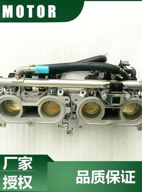QJMOTOR摩托原厂配件赛600RS赛800 QJ700GS-L/800GS-G节流阀组件