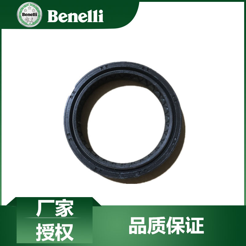 贝纳利配件黄龙600避震封BJ600GS/-A/BN600前减震油封前震防尘圈