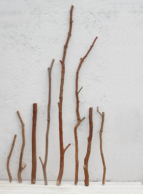 干树枝装饰原木树枝落地摆设枯枝造景艺术服装店橱窗干花真树枝