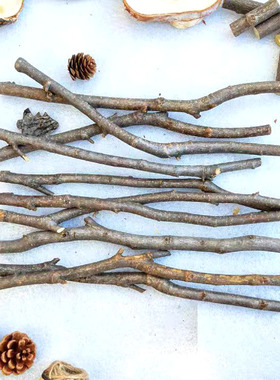 树枝造型材料木简约幼儿园手工diy木棒枯枝造型材料木纯天然原木