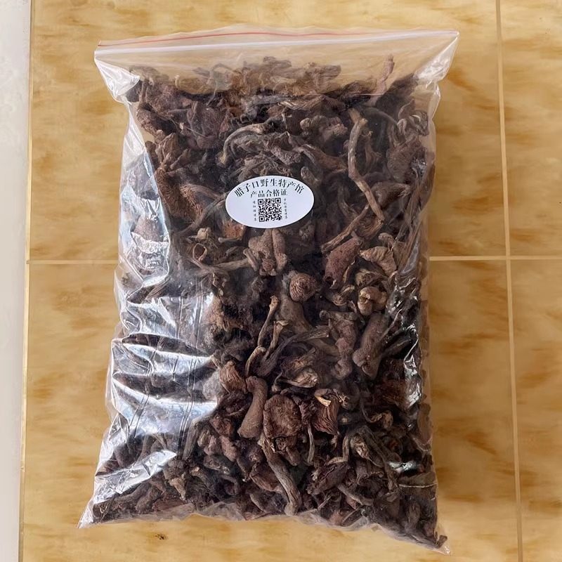 野生蘑菇榛蘑山货东北小鸡炖蘑菇食材农家甘肃特产野菜新鲜干货