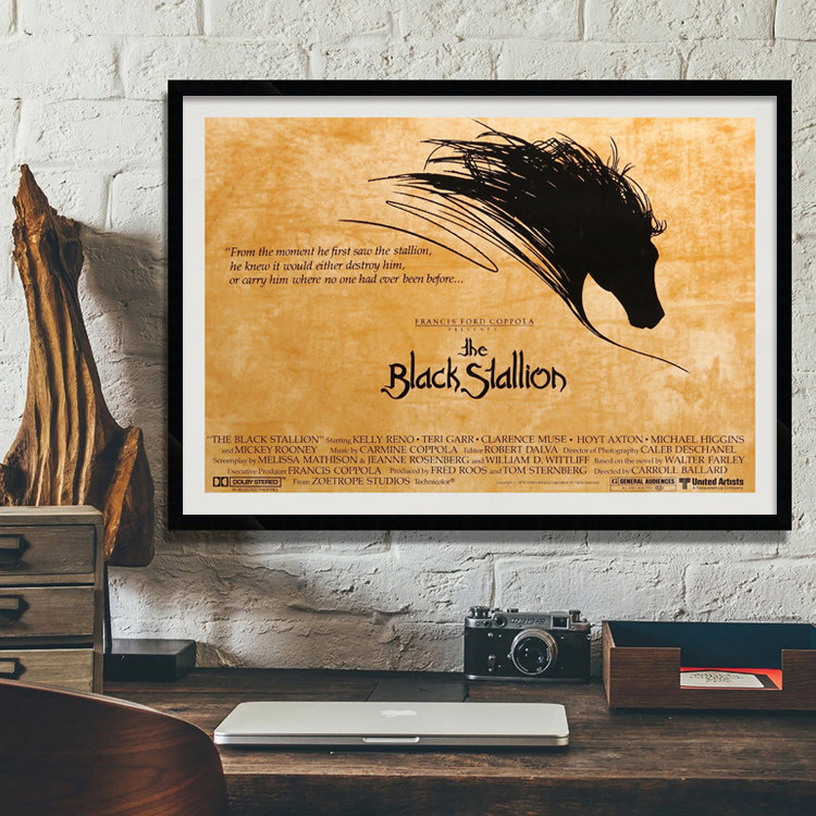 The Black Stallion黑神驹 骏马动物壁画墙画书房卧室有框挂画