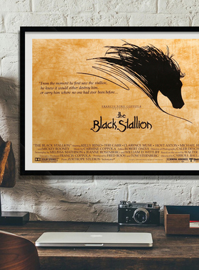 The Black Stallion黑神驹 骏马动物壁画墙画书房卧室有框挂画