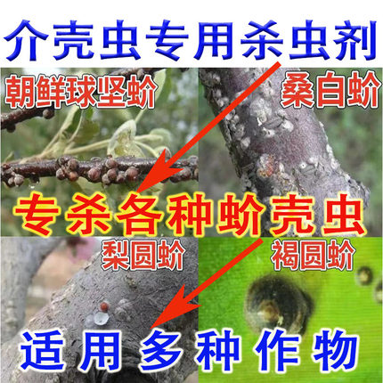 AA农药杀虫剂专杀介蚧壳虫果树花卉多肉蜡介粉介高渗速溶杀虫剂