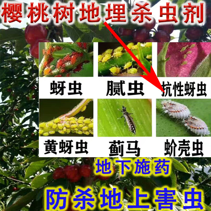 农药杀虫大全地上地下害虫地埋药