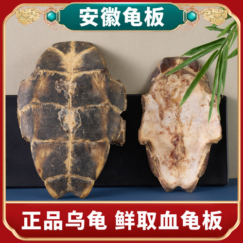 血龟板非汤甲安徽正品乌龟下腹甲