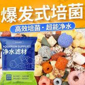 多合一小米鱼缸专用过滤材料大匠神彩中空石英球陶瓷环细菌屋净水