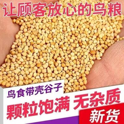 鸟粮谷子料饲料代发牡丹饲料虎皮小米鹦鹉鸟带壳专用新黄玄凤