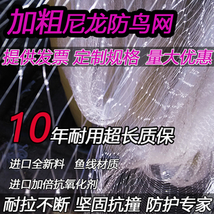 农用隔离网防鸟用网鱼塘养殖围栏塑料天网葡萄架樱桃果树户外稻谷