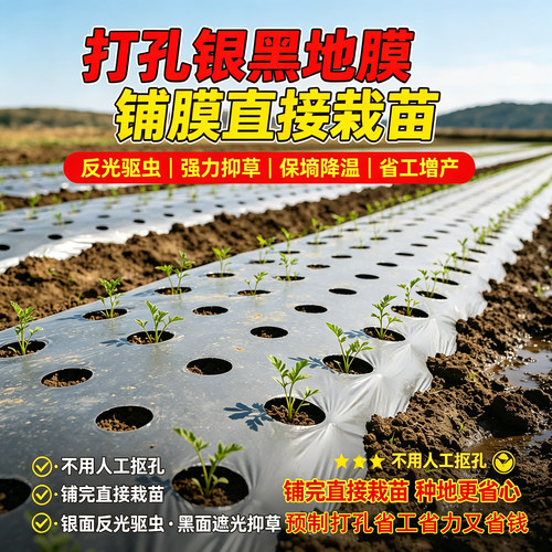 银黑双色打孔打孔地膜预制免开孔