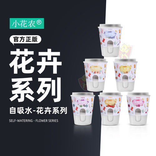 匹诺考古阳光种植种子发芽