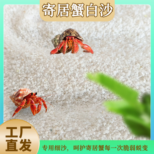 免洗寄居蟹专用海沙蟹饲养沙螃蟹辣椒蟹垫材用品免洗原生鱼缸底砂