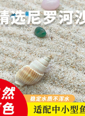 尼罗河沙草缸南美缸鱼缸造景底沙河沙黄色细沙水草化妆沙鼠鱼底砂