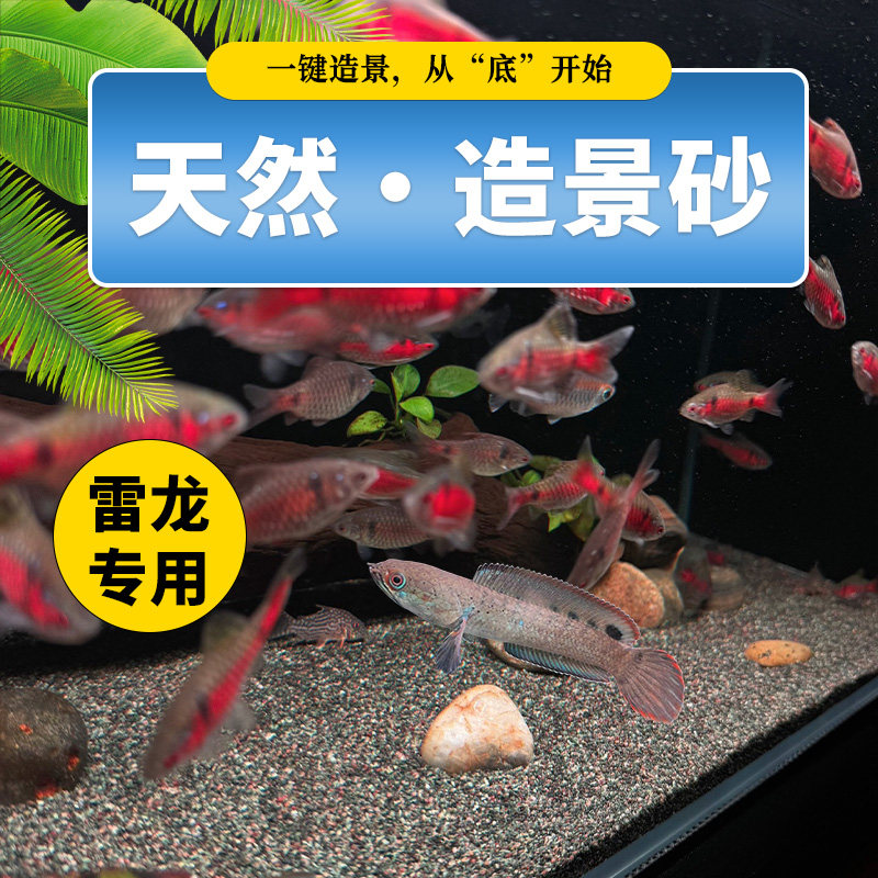 免洗清灰沙青红沙热带雨林沙鱼缸底砂南美雷龙造景黑鼠沙埃及七彩,宠物/宠物食品及用品,造景/装饰,淘宝优惠券,粉丝福利购,淘宝优惠卷