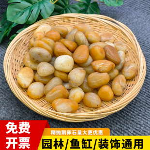 黄色鹅卵石铺路小石头高抛铺地石装饰园林阳台石头造景庭院