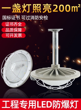 亚明国标led防爆灯IICT6仓库厂房隔爆型加油站防水防尘车间防爆照