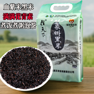 【广西象州黑米】血紫米26年新米长粒香黑色槟榔芋香食用糙米五谷