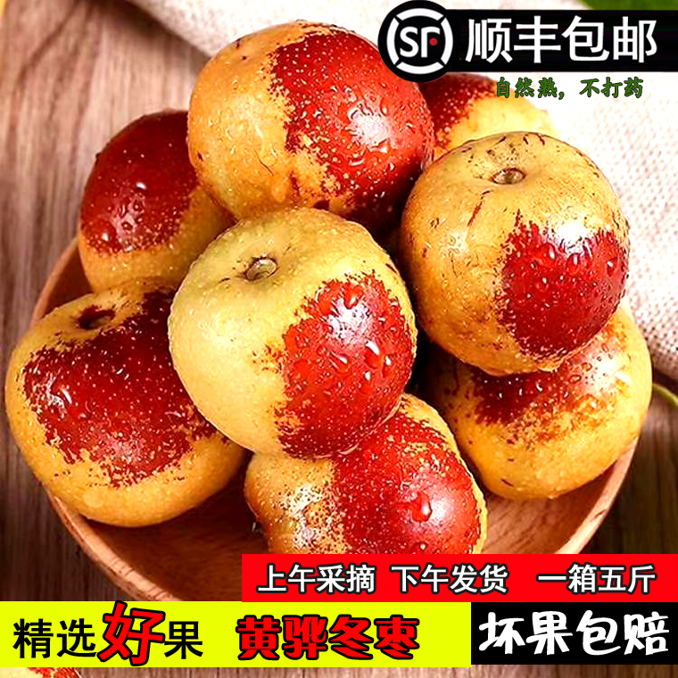【中果顺丰】河北沧州鲜冬枣黄骅冬枣新鲜孔店冬枣现摘水果5斤