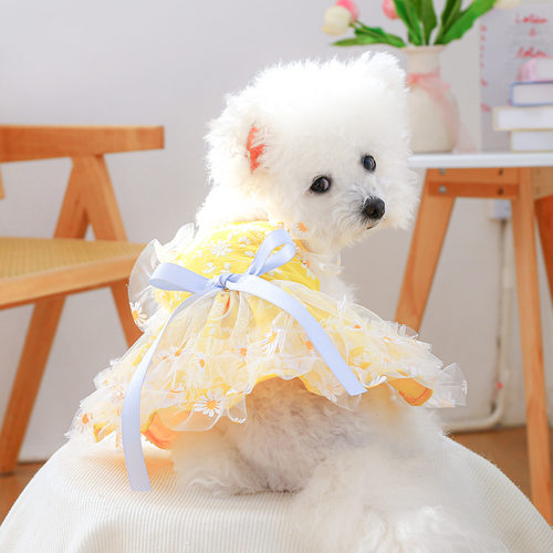 PETCIRCLE中小型犬雏菊吊带裙