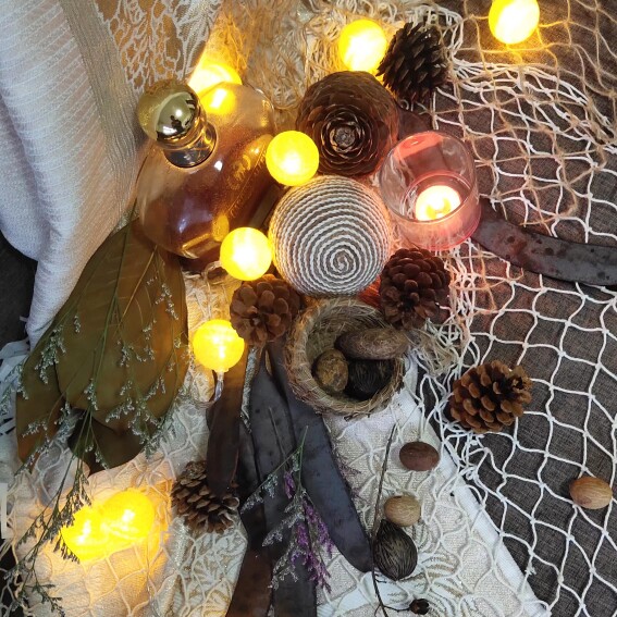 圣诞节装饰品 拍摄道具艺术静物干花/花瓣/干花包/