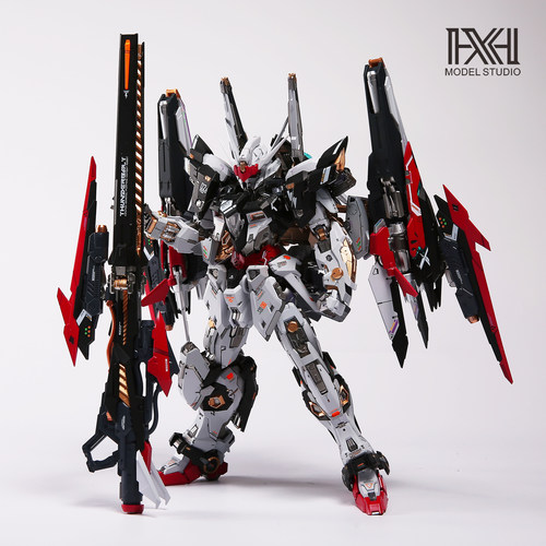 星海板喷 现货 无限新星雷霆 无限维度 雷霆 RMD 1/100  拼装模型