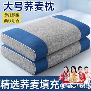 荞麦枕头成人大号官方旗舰店护颈椎助睡眠专用硬枕头不塌陷中药枕