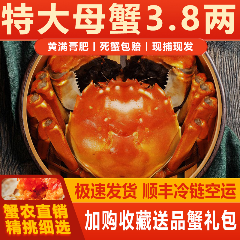 8/10只大闸蟹鲜活礼盒发货