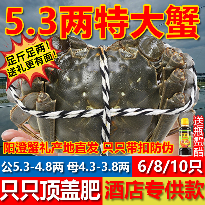 [活蟹]鲜活特大公母配对大闸蟹阳澄苏州湖蟹河蟹螃蟹母蟹生鲜礼盒,水产肉类/新鲜蔬果/熟食,大闸蟹,淘宝优惠券,粉丝福利购,淘宝优惠卷