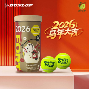 DUNLOP邓禄普网球蓝色罐装专业训练澳网比赛球轻便高弹耐打正品