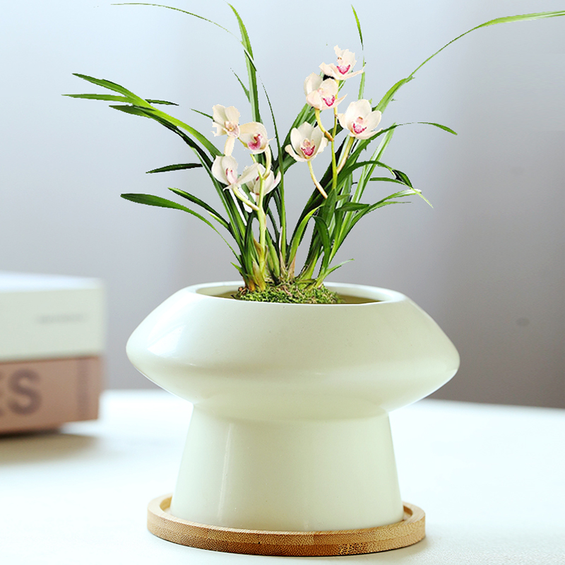 奶油风陶瓷花盆北欧家用简约ins风轻奢蝴蝶兰多肉绿植盆栽盆景盆